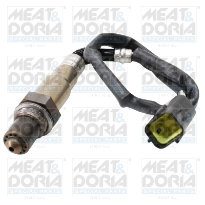 Oxygen Sensor